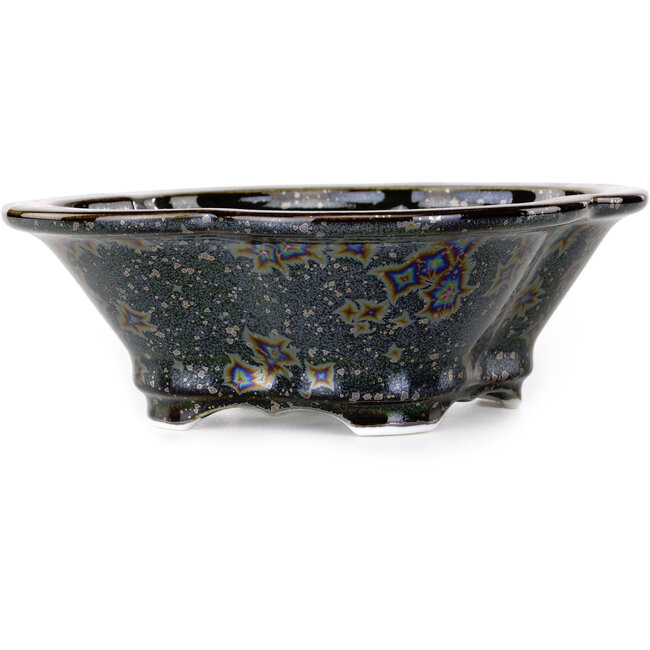 Maceta para bonsái Mokko negra de Heian Kosen - 170 x 157 x 60 mm