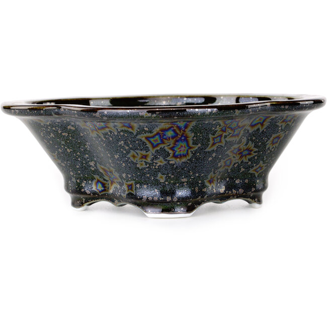 Vaso bonsai nero Mokko di Heian Kosen - 170 x 157 x 60 mm