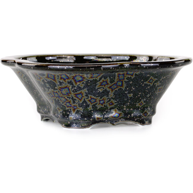 Vaso bonsai nero Mokko di Heian Kosen - 170 x 157 x 60 mm