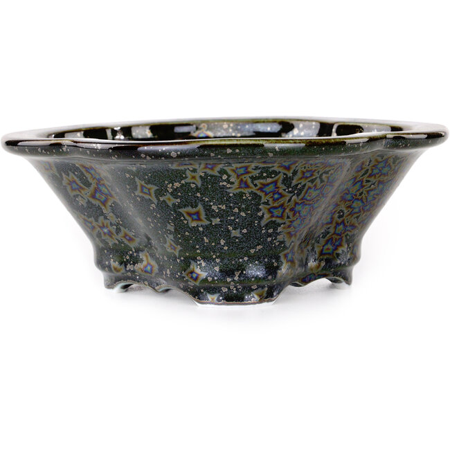 Vaso bonsai nero Mokko di Heian Kosen - 170 x 157 x 60 mm