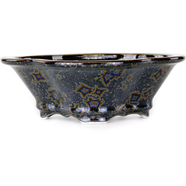 Vaso bonsai nero Mokko di Heian Kosen - 170 x 157 x 60 mm