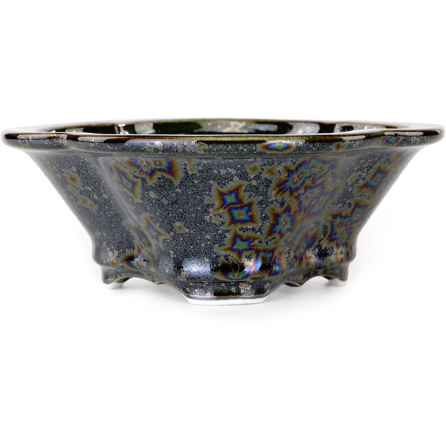 Vaso bonsai nero Mokko di Heian Kosen - 170 x 157 x 60 mm