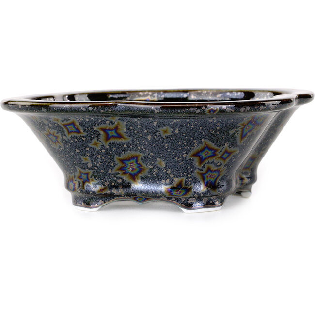 Vaso bonsai nero Mokko di Heian Kosen - 170 x 157 x 60 mm