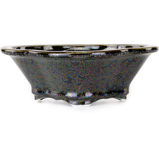 Heian Kosen 153 mm schwarze Bonsaischale von Heian Kosen, Kyoto, Japan