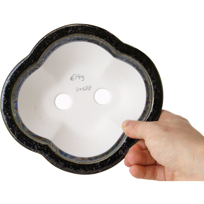 Maceta para bonsái Mokko negra de Heian Kosen - 170 x 157 x 60 mm