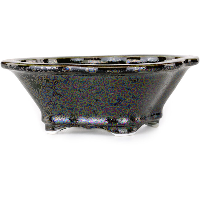 Vaso bonsai nero Mokko di Heian Kosen - 153 x 140 x 53 mm