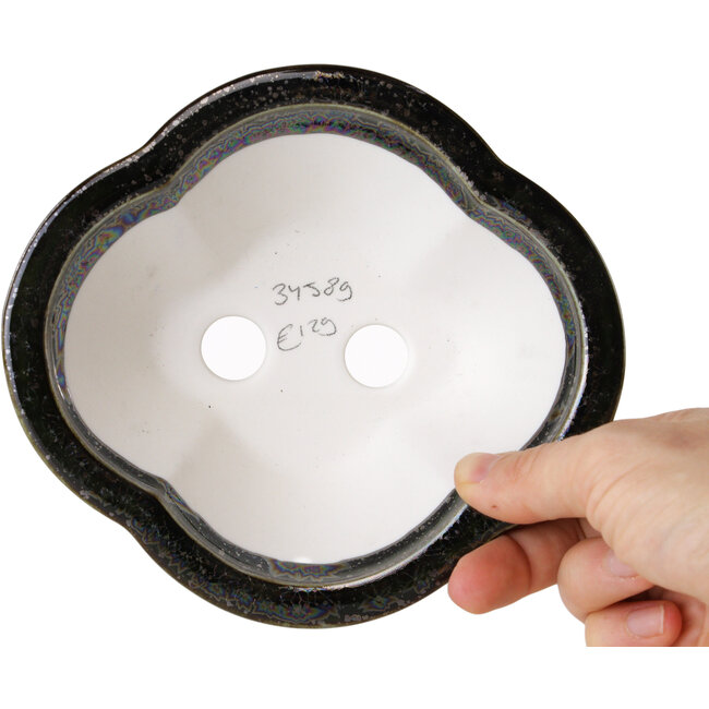 Maceta para bonsái Mokko negra de Heian Kosen - 153 x 140 x 53 mm