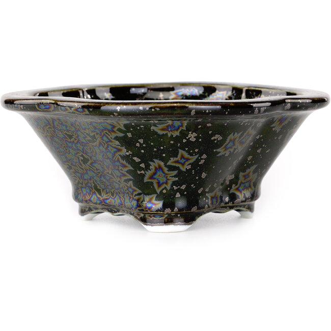 Vaso bonsai nero Mokko di Heian Kosen - 153 x 140 x 53 mm