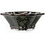 Maceta para bonsái Mokko negra de Heian Kosen - 153 x 140 x 53 mm