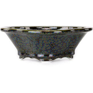 Heian Kosen 153 mm schwarze Bonsaischale von Heian Kosen, Kyoto, Japan