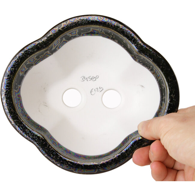 Maceta para bonsái Mokko negra de Heian Kosen - 153 x 140 x 53 mm