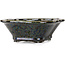 Maceta para bonsái Mokko negra de Heian Kosen - 153 x 140 x 53 mm