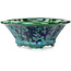 Maceta de bonsái Mokko verde y azul de Heian Kosen - 153 x 140 x 53 mm