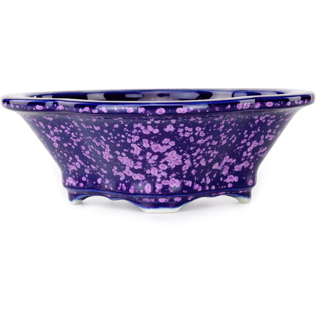 Vaso bonsai viola Mokko di Heian Kosen - 153 x 140 x 53 mm