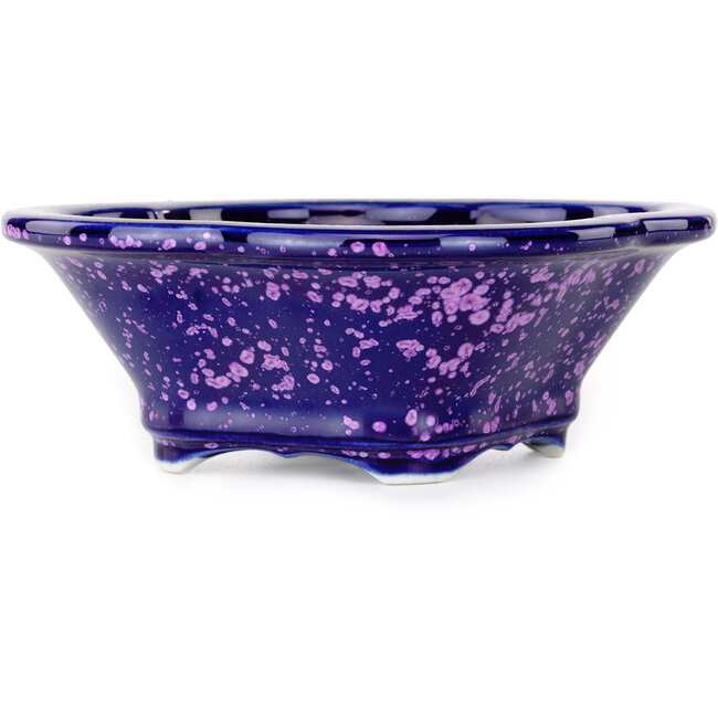 Vaso bonsai viola Mokko di Heian Kosen - 153 x 140 x 53 mm