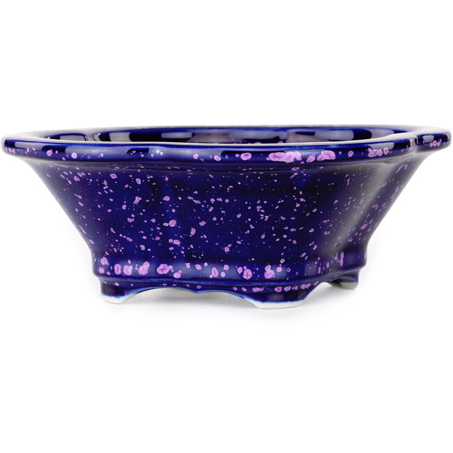 Vaso bonsai viola Mokko di Heian Kosen - 153 x 140 x 53 mm