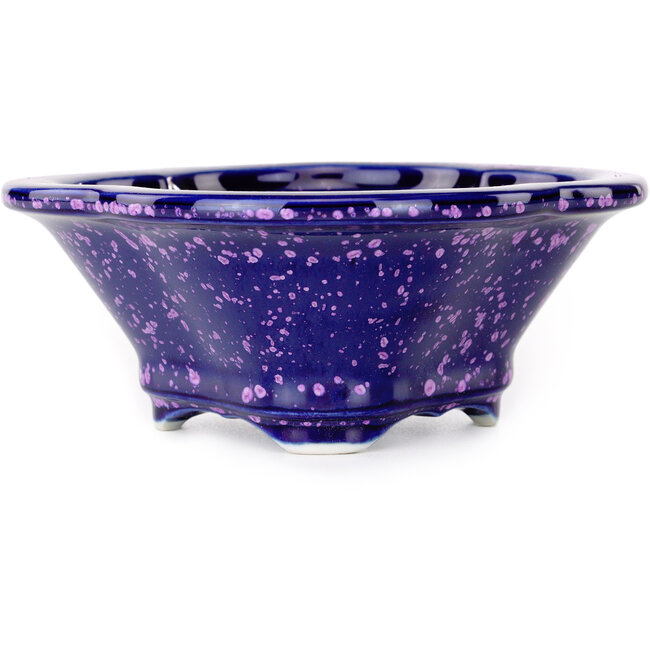 Vaso bonsai viola Mokko di Heian Kosen - 153 x 140 x 53 mm