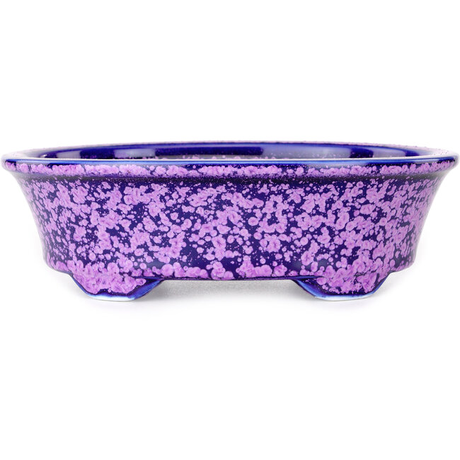 Maceta ovalada para bonsái violeta de Heian Kosen - 180 x 142 x 52 mm