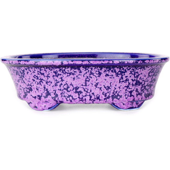Ovaler lila Bonsaitopf von Heian Kosen – 180 x 142 x 52 mm