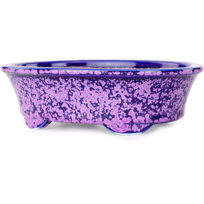 Vaso bonsai ovale viola di Heian Kosen - 180 x 142 x 52 mm