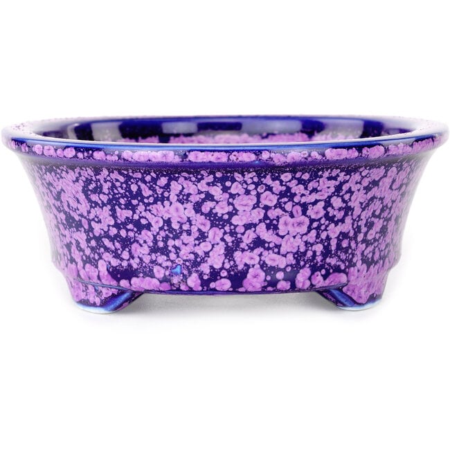 Vaso bonsai ovale viola di Heian Kosen - 180 x 142 x 52 mm
