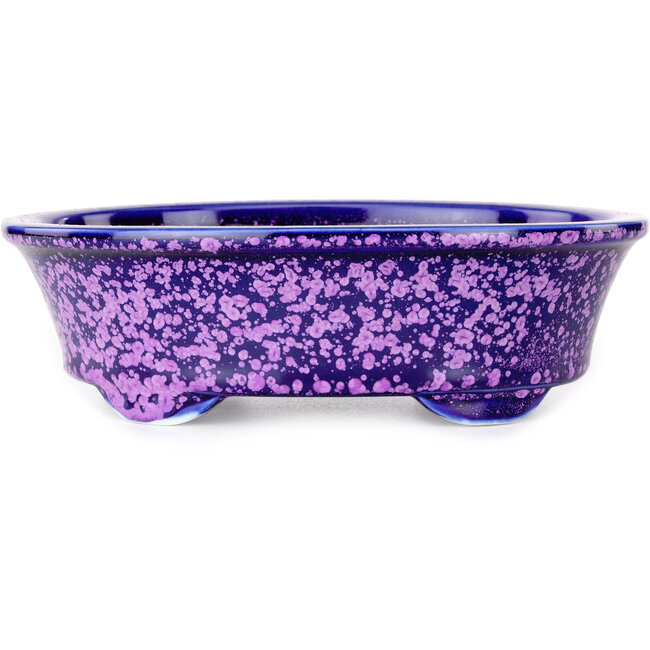 Ovale paarse bonsaipot van Heian Kosen - 180 x 142 x 52 mm