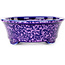 Vaso bonsai ovale viola di Heian Kosen - 180 x 142 x 52 mm