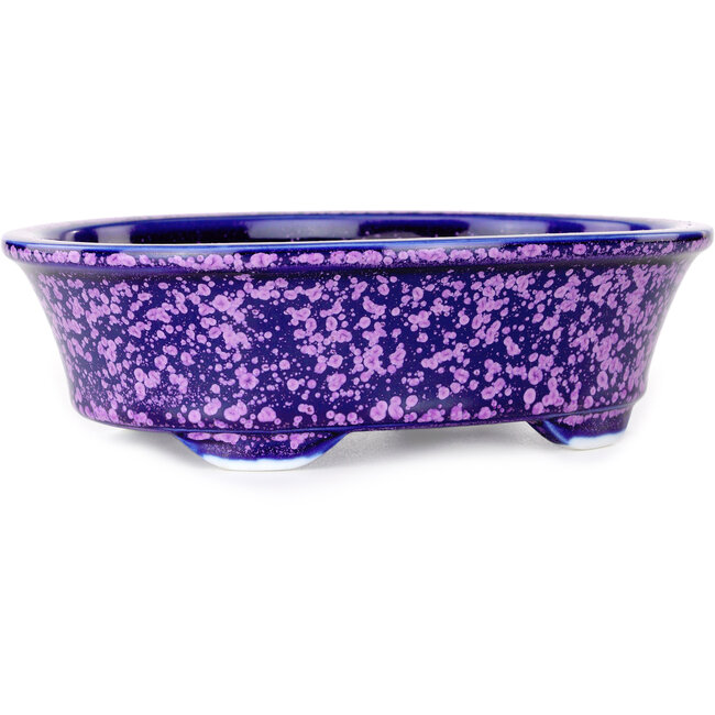 Maceta ovalada para bonsái violeta de Heian Kosen - 180 x 142 x 52 mm