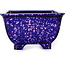 Square purple bonsai pot by Heian Kosen - 133 x 133 x 80 mm