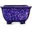 Square purple bonsai pot by Heian Kosen - 133 x 133 x 80 mm