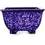 Maceta cuadrada morada para bonsái de Heian Kosen - 133 x 133 x 80 mm