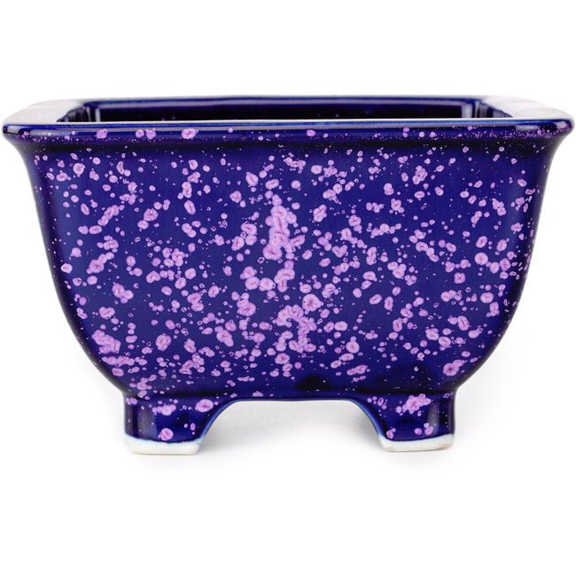 Maceta cuadrada morada para bonsái de Heian Kosen - 133 x 133 x 80 mm