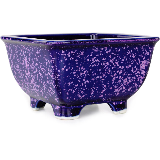 Maceta cuadrada morada para bonsái de Heian Kosen - 133 x 133 x 80 mm