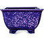 Square purple bonsai pot by Heian Kosen - 133 x 133 x 80 mm