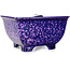 Pot à bonsaï carré violet de Heian Kosen - 133 x 133 x 80 mm