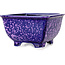 Maceta cuadrada morada para bonsái de Heian Kosen - 133 x 133 x 80 mm