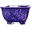 Maceta cuadrada morada para bonsái de Heian Kosen - 133 x 133 x 80 mm