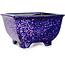 Maceta cuadrada morada para bonsái de Heian Kosen - 133 x 133 x 80 mm