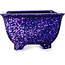 Square purple bonsai pot by Heian Kosen - 133 x 133 x 80 mm
