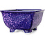 Maceta cuadrada morada para bonsái de Heian Kosen - 133 x 133 x 80 mm