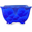 Maceta cuadrada azul para bonsái de Heian Kosen - 133 x 133 x 80 mm
