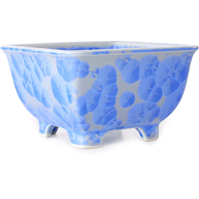 Vaso bonsai quadrato bianco e blu di Heian Kosen - 133 x 133 x 80 mm