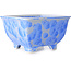 Square white and blue bonsai pot by Heian Kosen - 133 x 133 x 80 mm