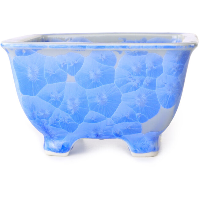 Vaso bonsai quadrato bianco e blu di Heian Kosen - 133 x 133 x 80 mm