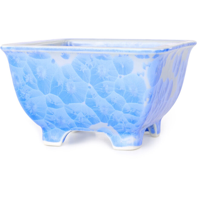 Vaso bonsai quadrato bianco e blu di Heian Kosen - 133 x 133 x 80 mm