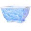 Pot à bonsaï carré blanc et bleu par Heian Kosen - 133 x 133 x 80 mm