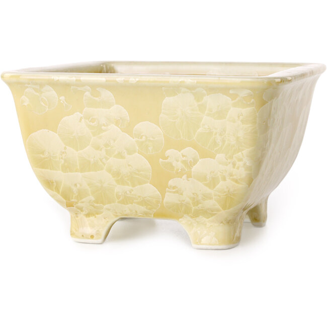 Vierkante beige bonsaipot van Heian Kosen - 133 x 133 x 80 mm