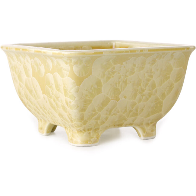 Vaso bonsai quadrato beige di Heian Kosen - 133 x 133 x 80 mm