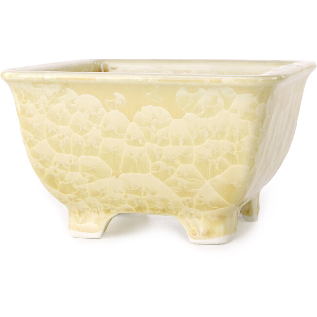 Vierkante beige bonsaipot van Heian Kosen - 133 x 133 x 80 mm