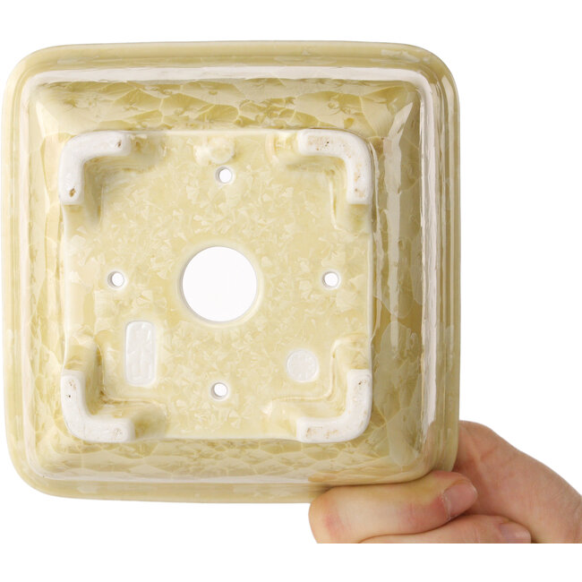 Vierkante beige bonsaipot van Heian Kosen - 133 x 133 x 80 mm